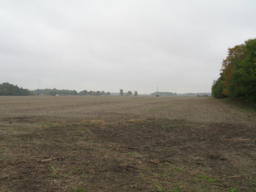 76.8 +/- Acres Mostly Tillable - Land Auction